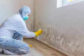 Best Basement Mold Removal  in Highland Park, TX