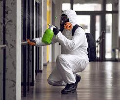 Trusted Highland Park, TX Mold Removal Services Experts